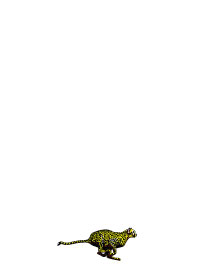 Cheetah Notepad