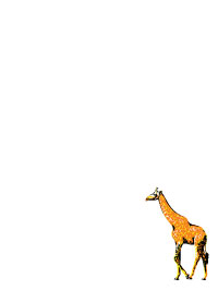 Cheetah Notepad