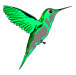 Hummingbird Notepad