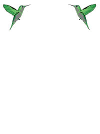 Hummingbird V2 Notepad