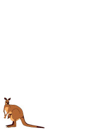 Kangaroo Notepad