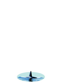 Killer Whale-020