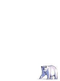 Polar Bear V2 Notepad