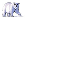 Polar Bear Notepad