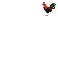 Rooster Notepad